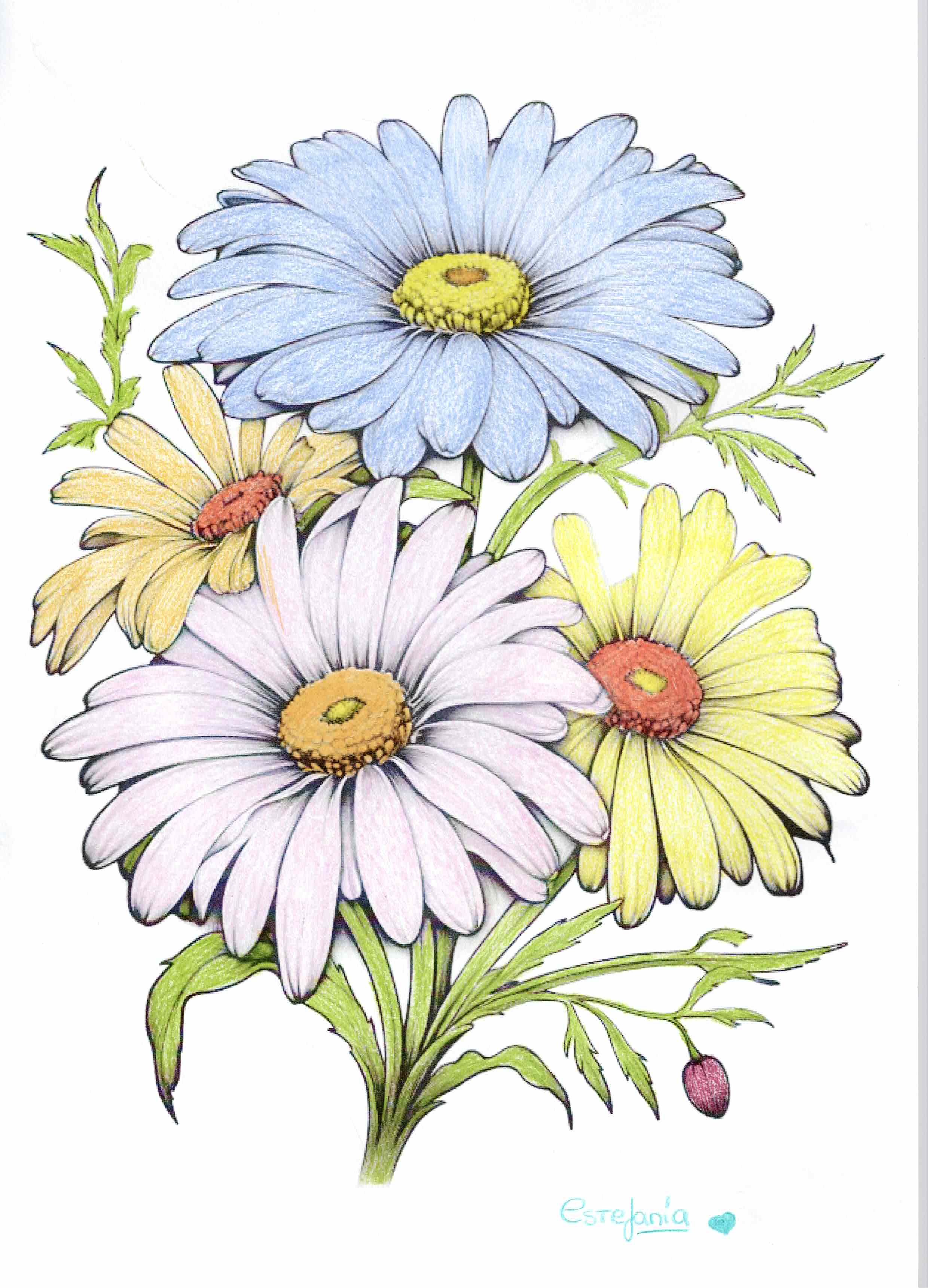 Artwork by Estefanía